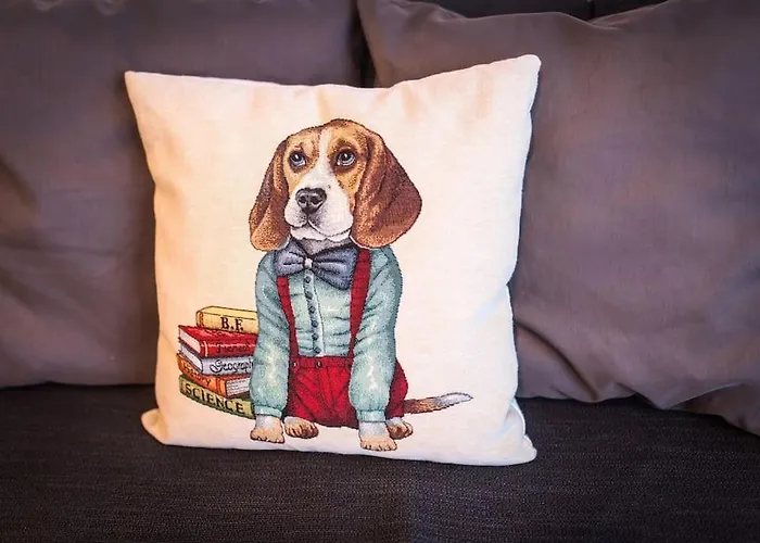 Apartamento Casa Sofi